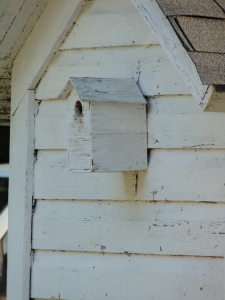 Birdhouse on the shed